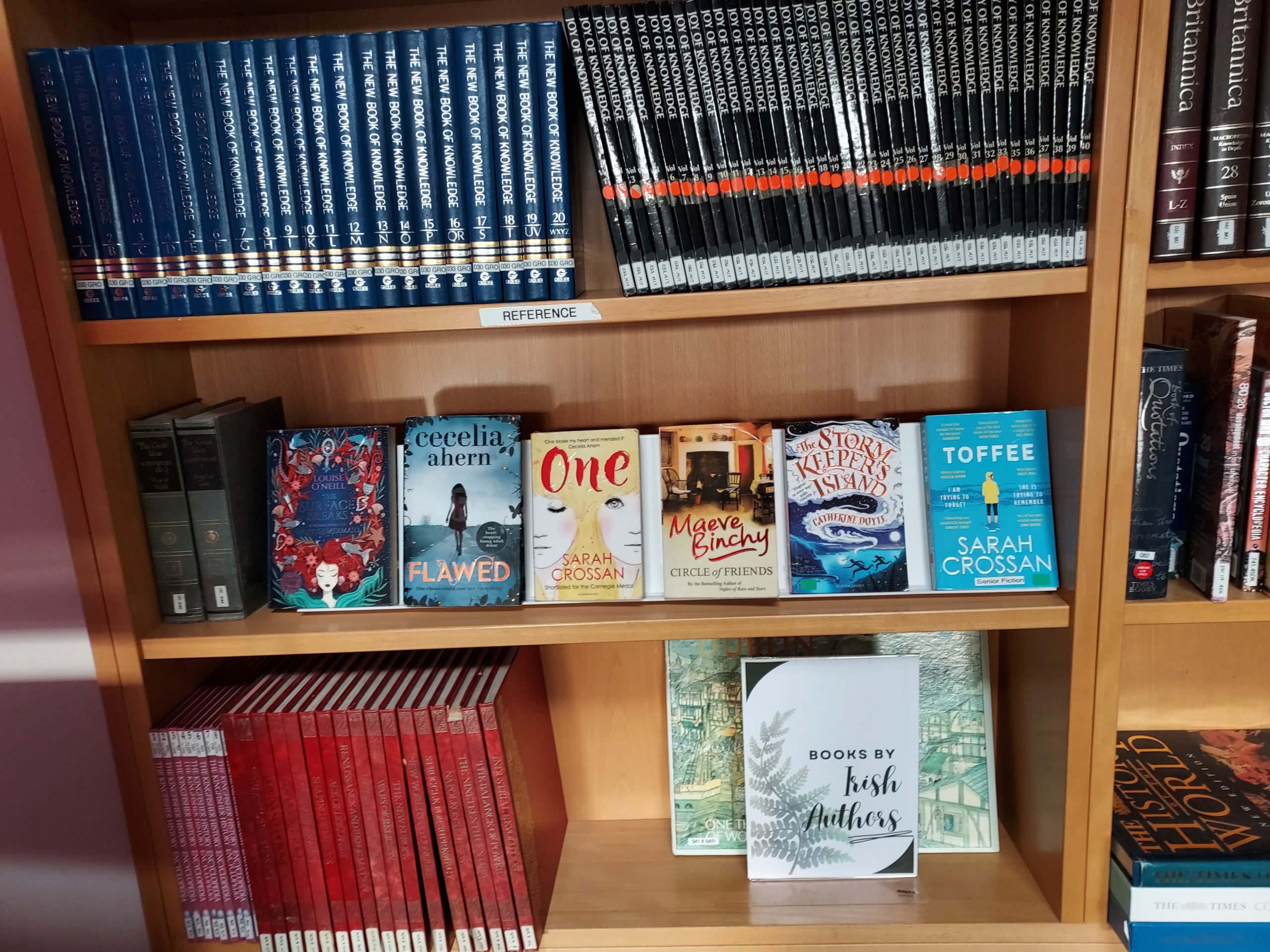 Books by Irish female authors bookshelf display.